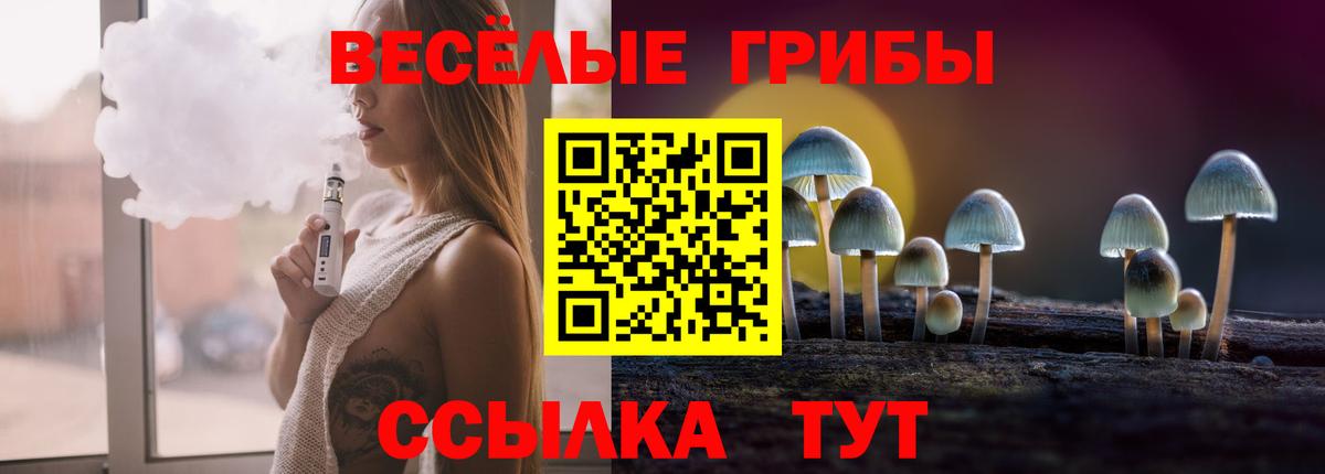где продают   Вход с VPN  Нижний Тагил  Галлюциногенные грибы Psilocybe 